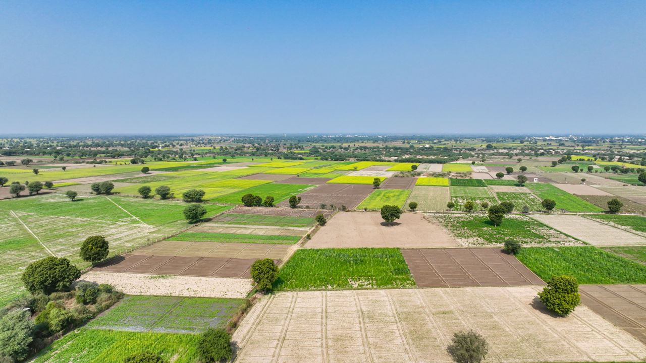 Vibrant aerial view of diverse farmland patchwork during summer, showcasing agricultural diversity.